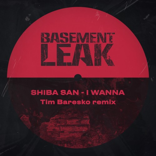 I Wanna (Tim Baresko remix)