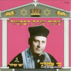 מתוך שירת הבקשות