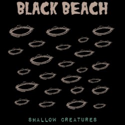 Shallow Creatures
