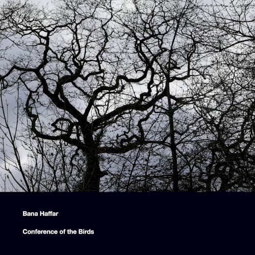 Conference of the Birds