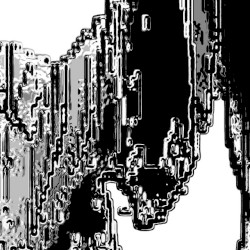 noir total