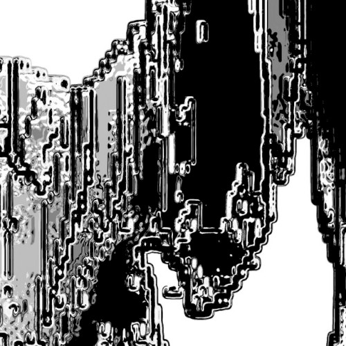noir total