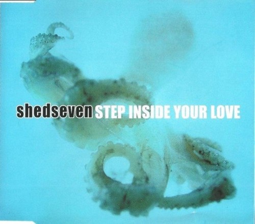 Step Inside Your Love