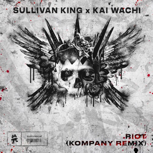 Riot (Kompany remix)