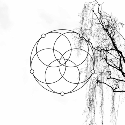Split