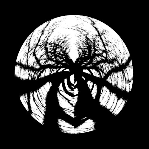 Dark Forest Theory