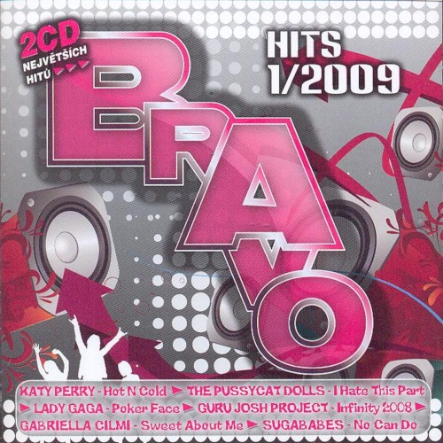 Bravo Hits: 1/2009