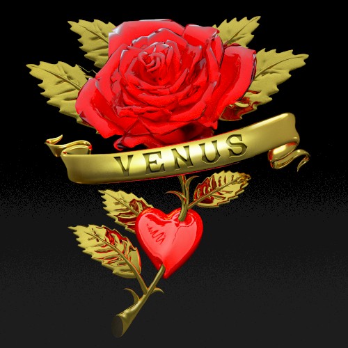 Venus (Boys Noize rework)