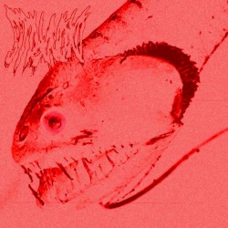 モジュール