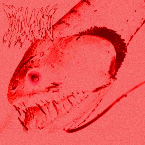 モジュール