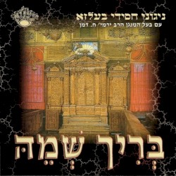 Berich Shemi