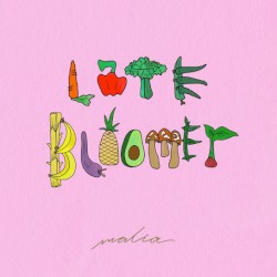 Late Bloomer