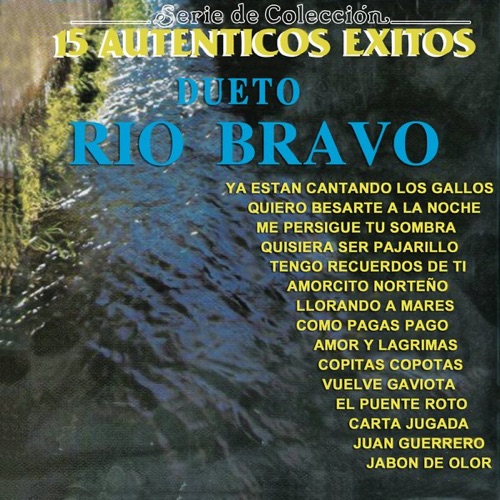 15 auténticos éxitos