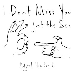 I Don't Miss You, Just the Sex