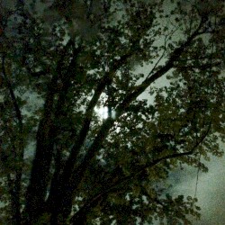 Light Night