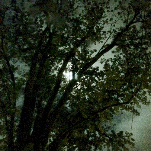 Light Night