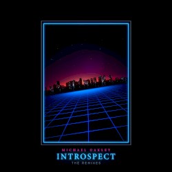 Introspect - The Remixes