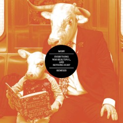 Everything Was Beautiful, and Nothing Hurt (Remixes)