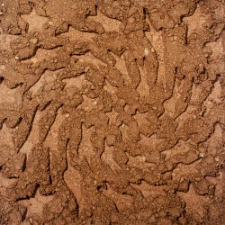 Unerthed: Hole Erth Unplugged