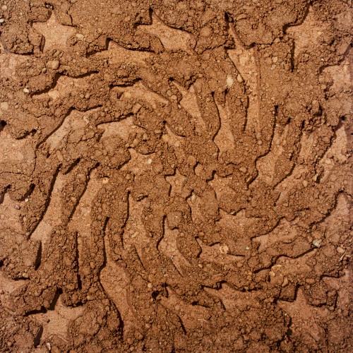 Unerthed: Hole Erth Unplugged