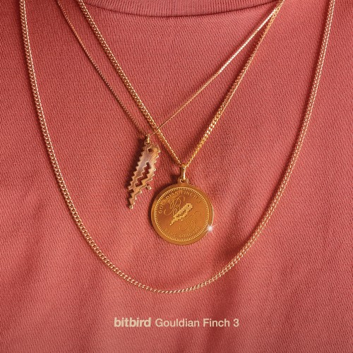 Gouldian Finch 3