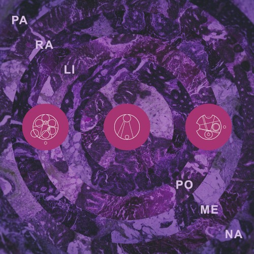 Paralipomena