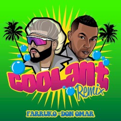 Coolant (remix)
