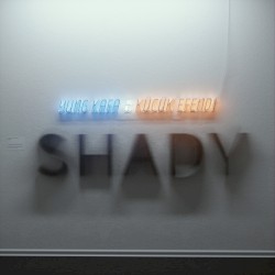 Shady