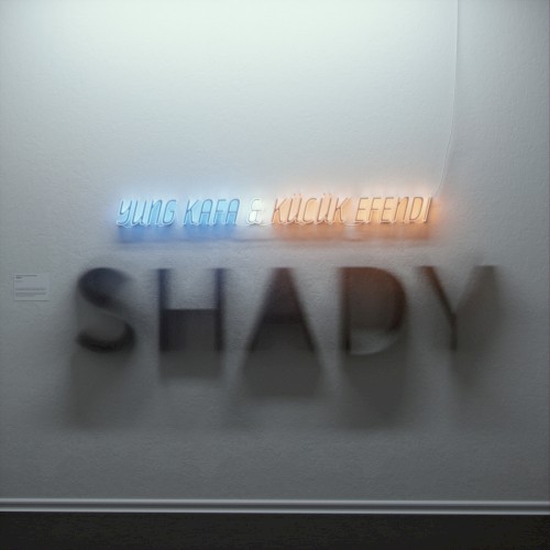 Shady