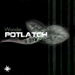 Wonder