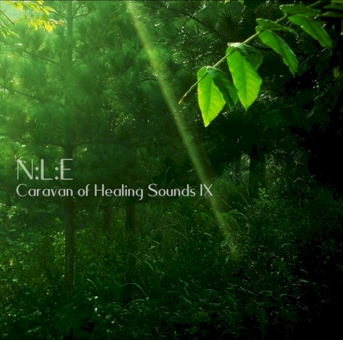 Caravan of Healing Sounds lX