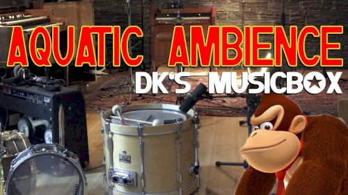 Donkey Kong Country - Aquatic Ambience
