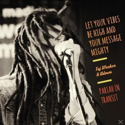 Pariah In Transit