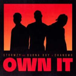 Own It