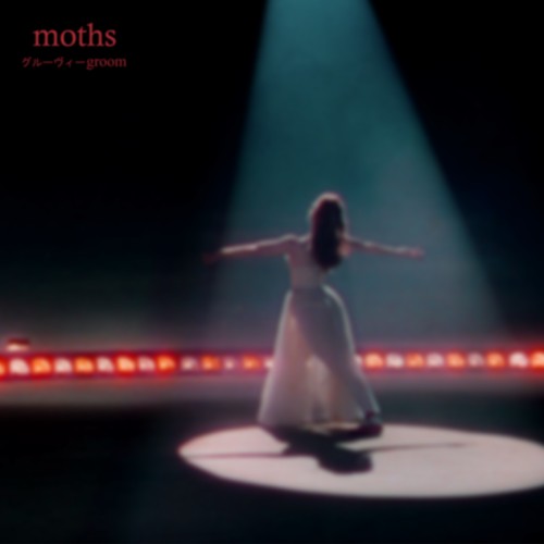 moths