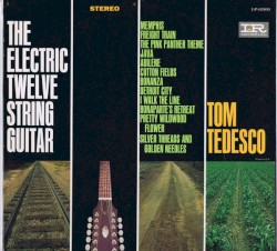 The Electric Twelve-String Guitar