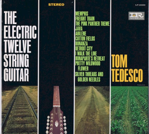 The Electric Twelve-String Guitar