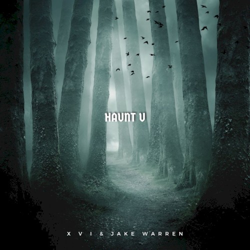 HAUNT U