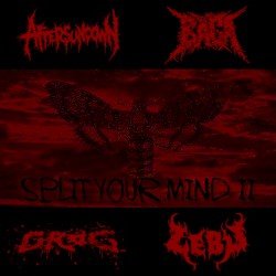 Split Your Mind II
