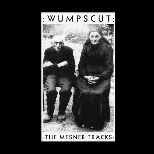 The Mesner Tracks