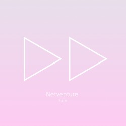 Netventure
