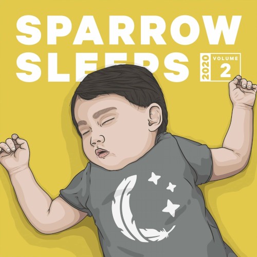 2020 Volume 2: Lullaby Renditions of Hayley Williams