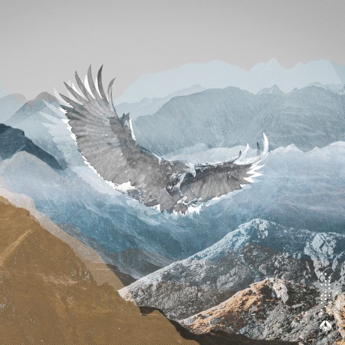 Wingspan