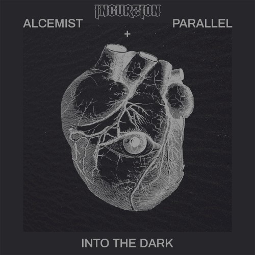 Into the Dark