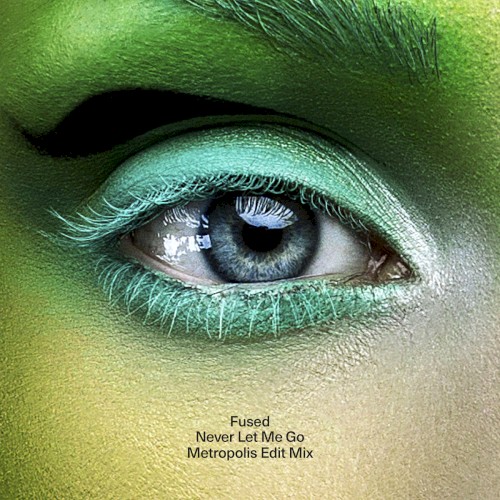 Never Let Me Go (Metropolis edit mix)