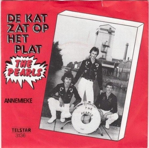 De kat zat op het plat / Annemieke