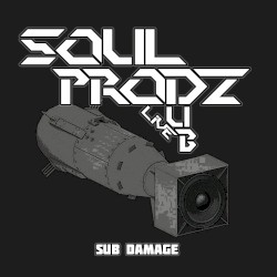 Sub Damage
