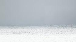 df2by