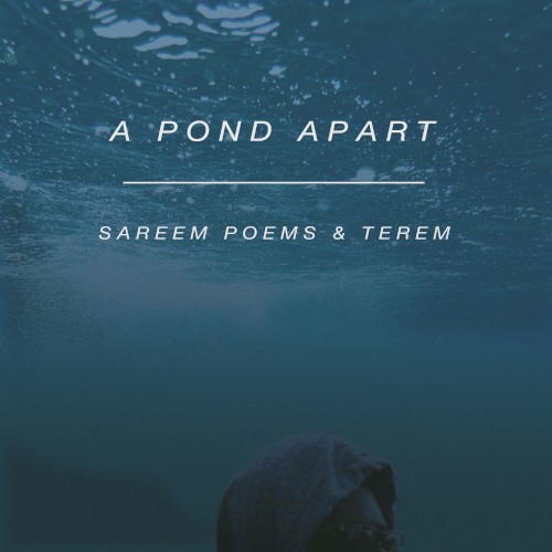 A Pond Apart
