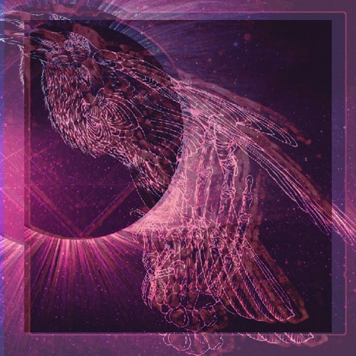 GLACIERS//MELTED